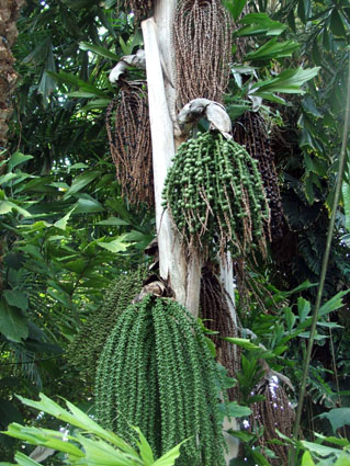 072_Conservatory