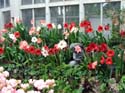 0076_Conservatory