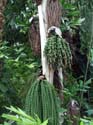 072_Conservatory