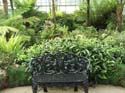 078_ConservatoryRest