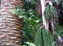 080_Conservatory