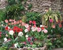 084_Conservatory