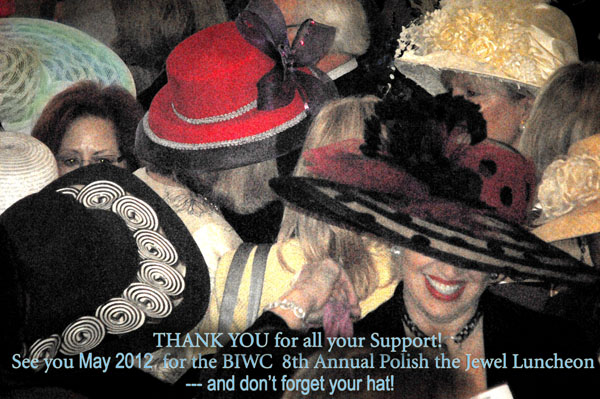 Z_Cos_BIWC_2011 (91a)