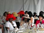 BIWC_2011 (129)