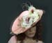 AvaRose (2a