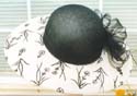 Sinamay Organza covered  Camille back b&w